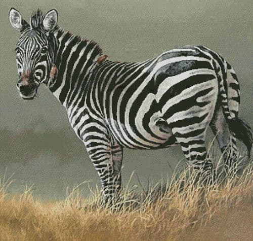 Zebra Painting by Artecy printed cross stitch chart